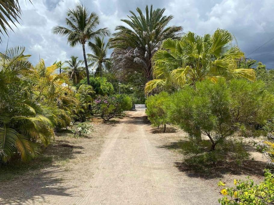 Villa Coco Des Sables Acces Direct Au Lagon La Saline Le Bains Exteriör bild
