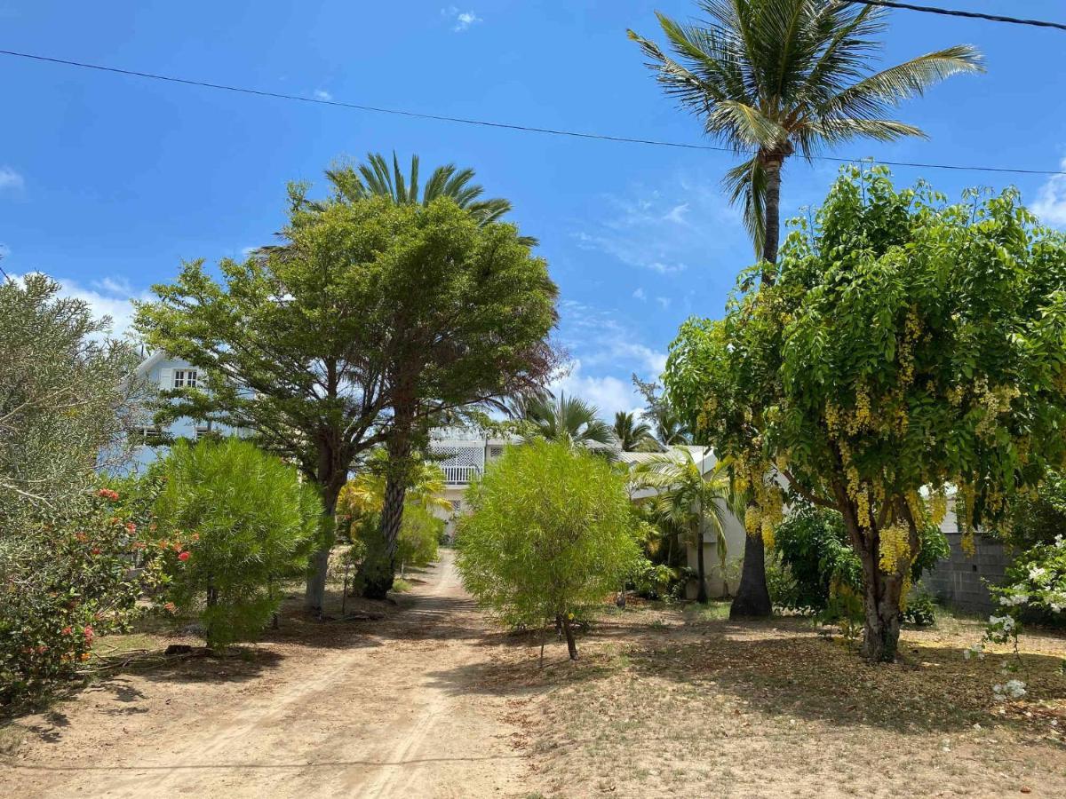 Villa Coco Des Sables Acces Direct Au Lagon La Saline Le Bains Exteriör bild
